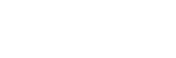 Peer AI logo