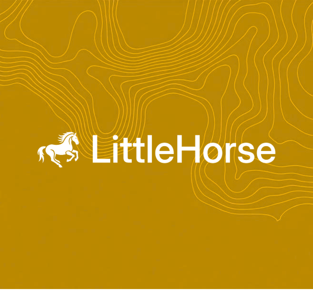 LittleHorse Enterprises