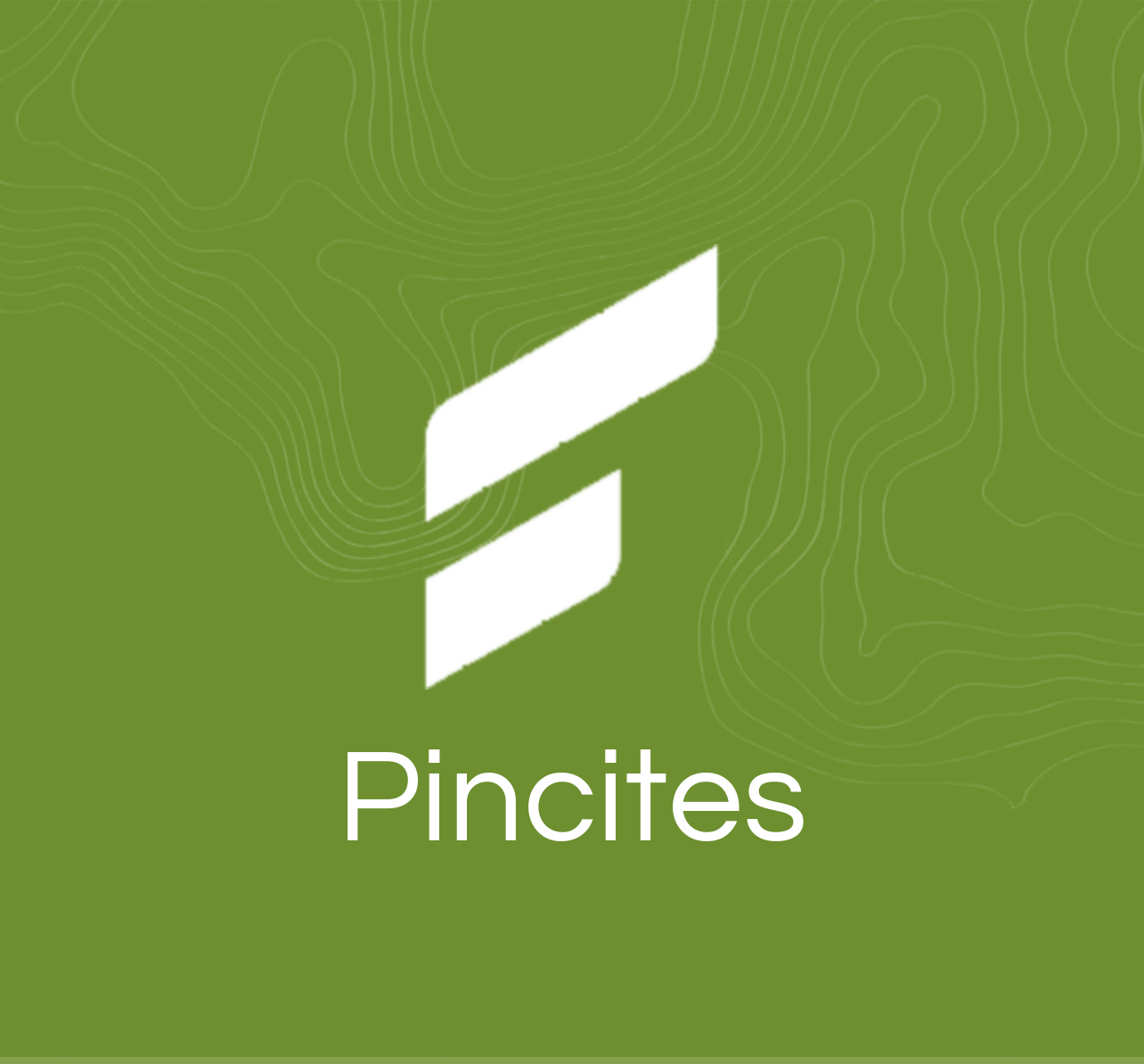 Pincites